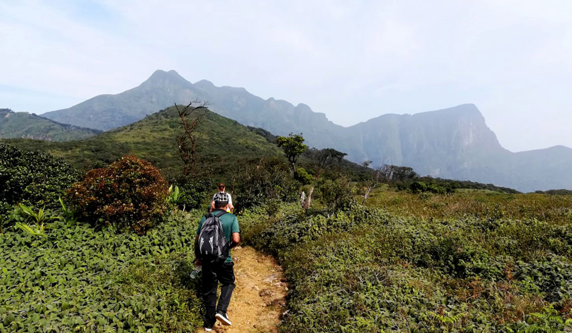 Knuckles Mountain Range